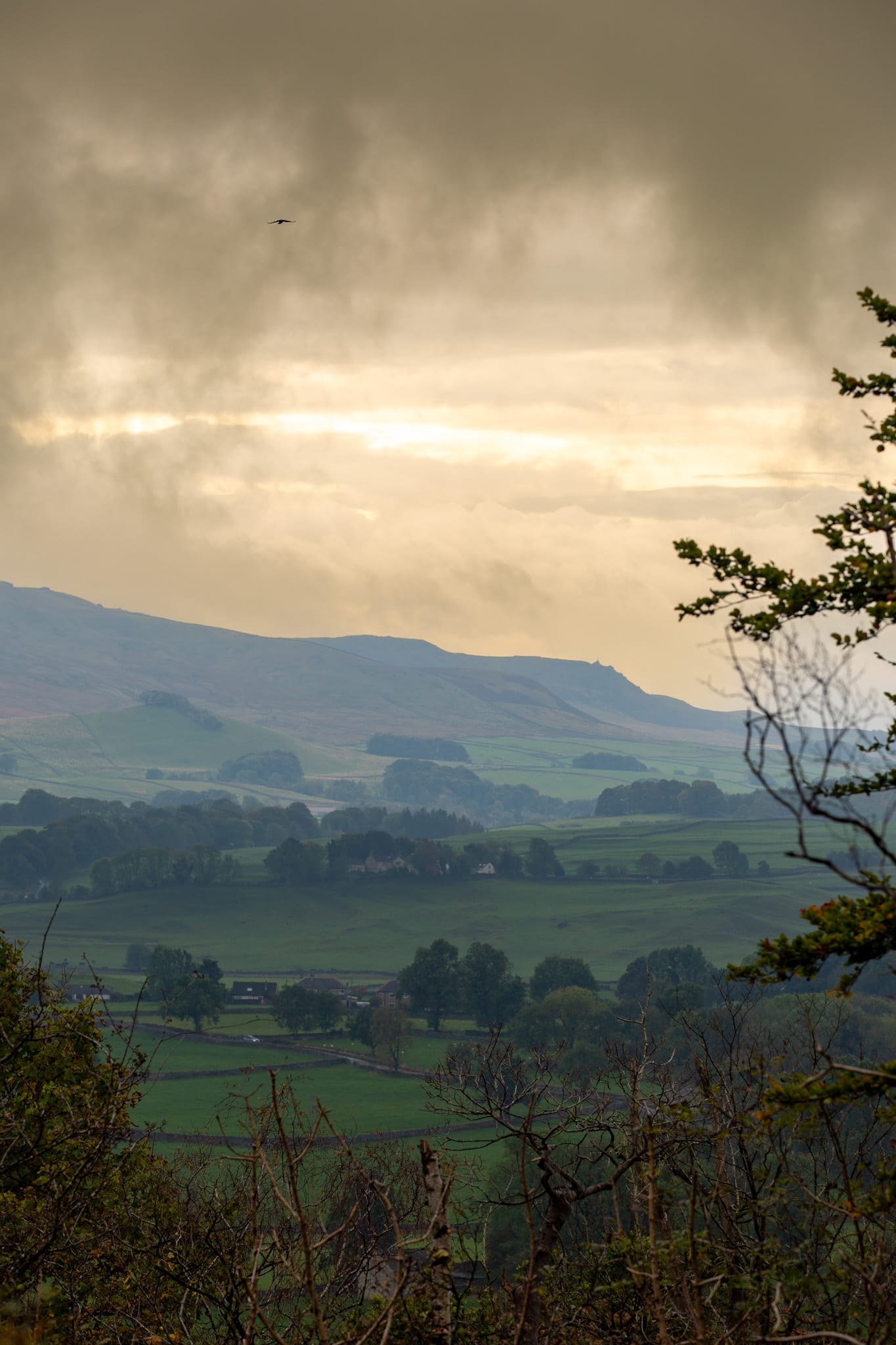 York & The Yorkshire Dales