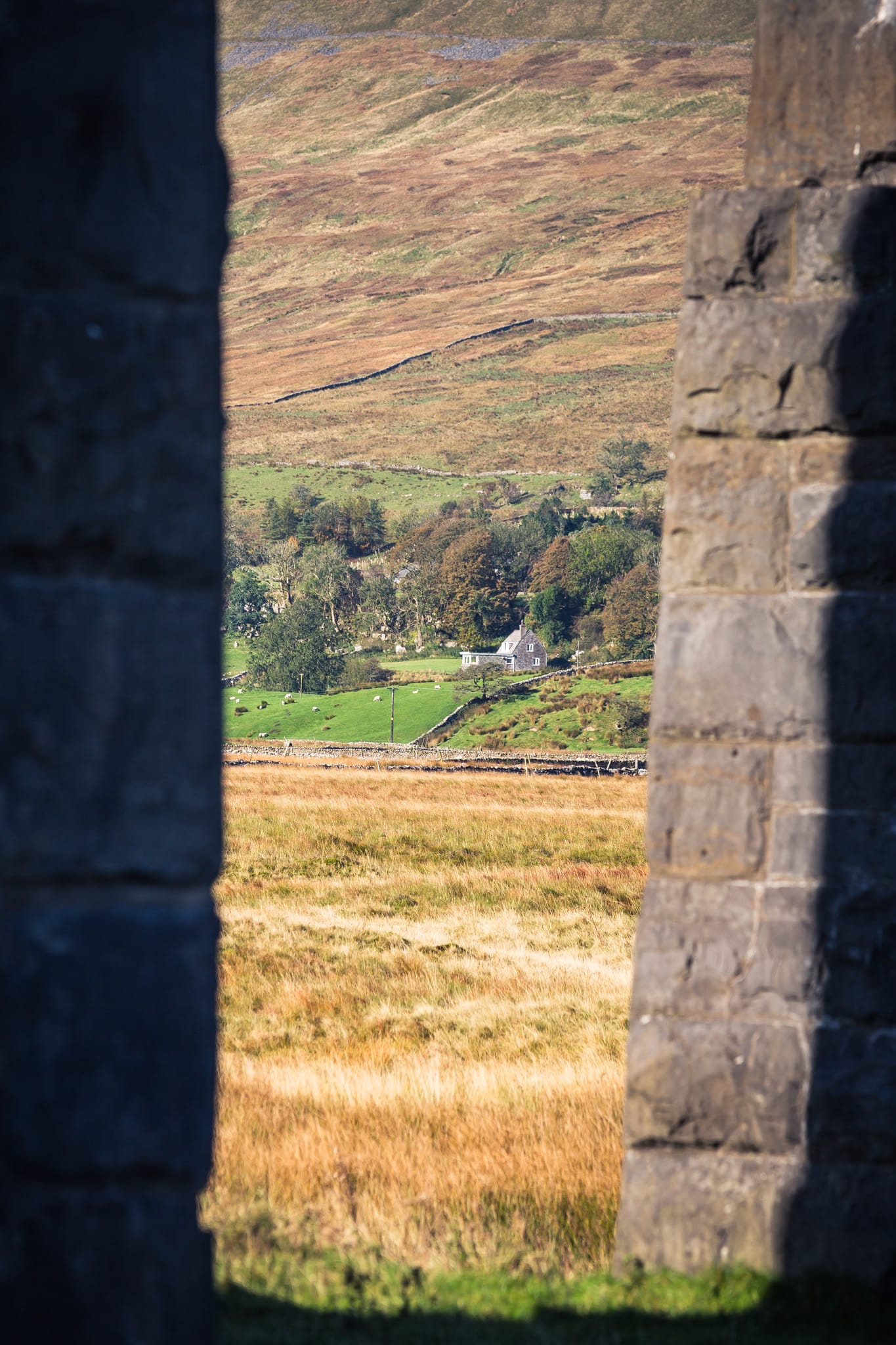 York & The Yorkshire Dales