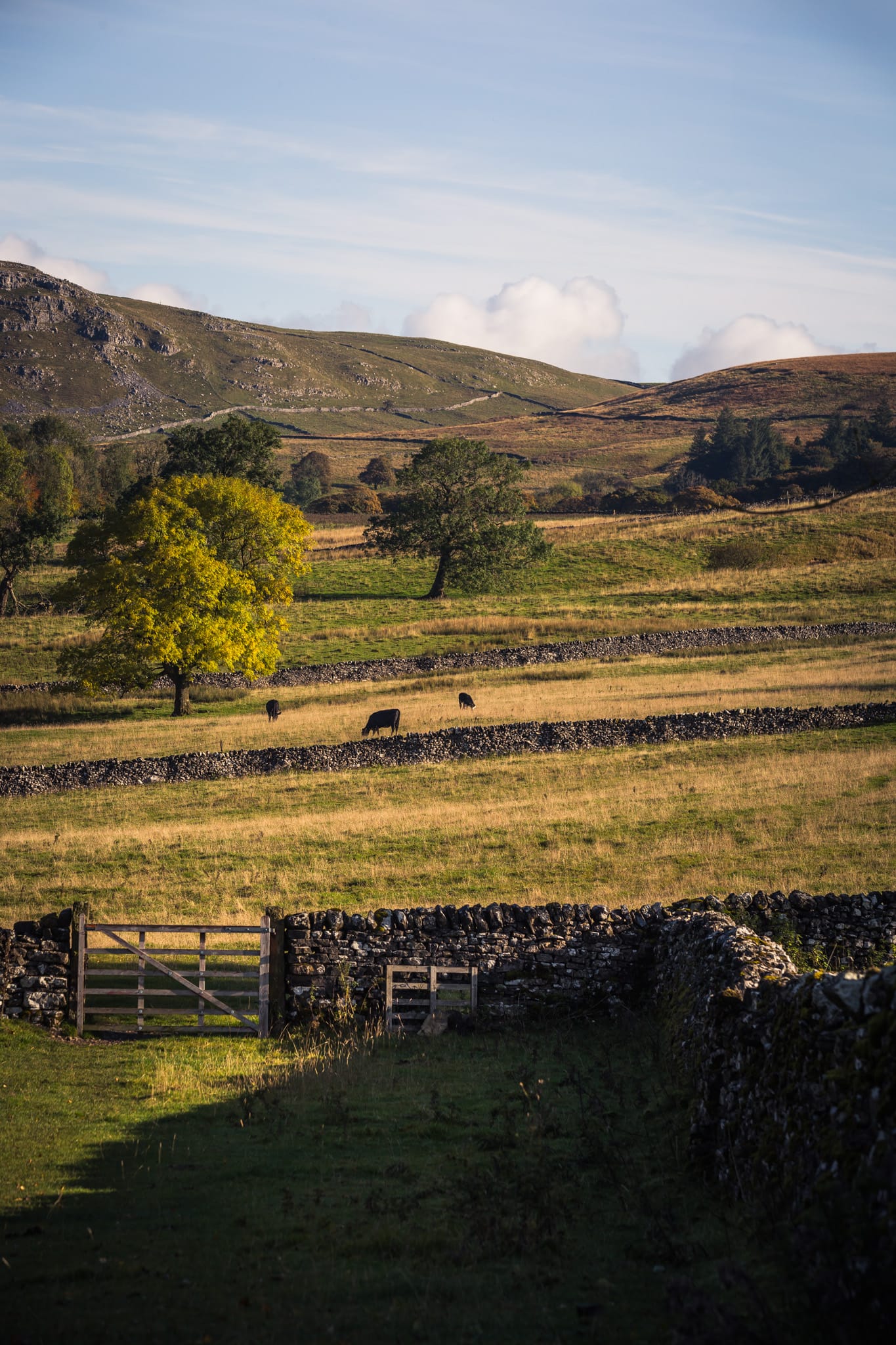 York & The Yorkshire Dales