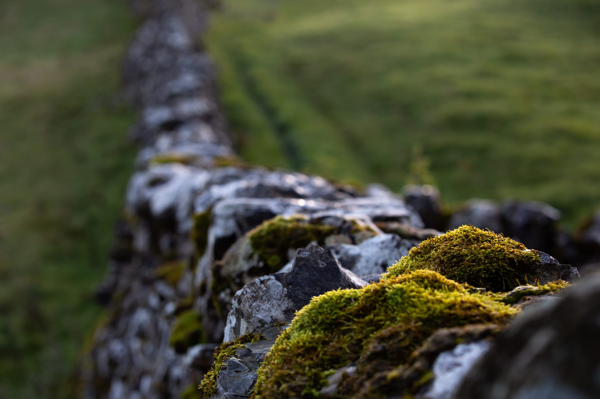 York & The Yorkshire Dales