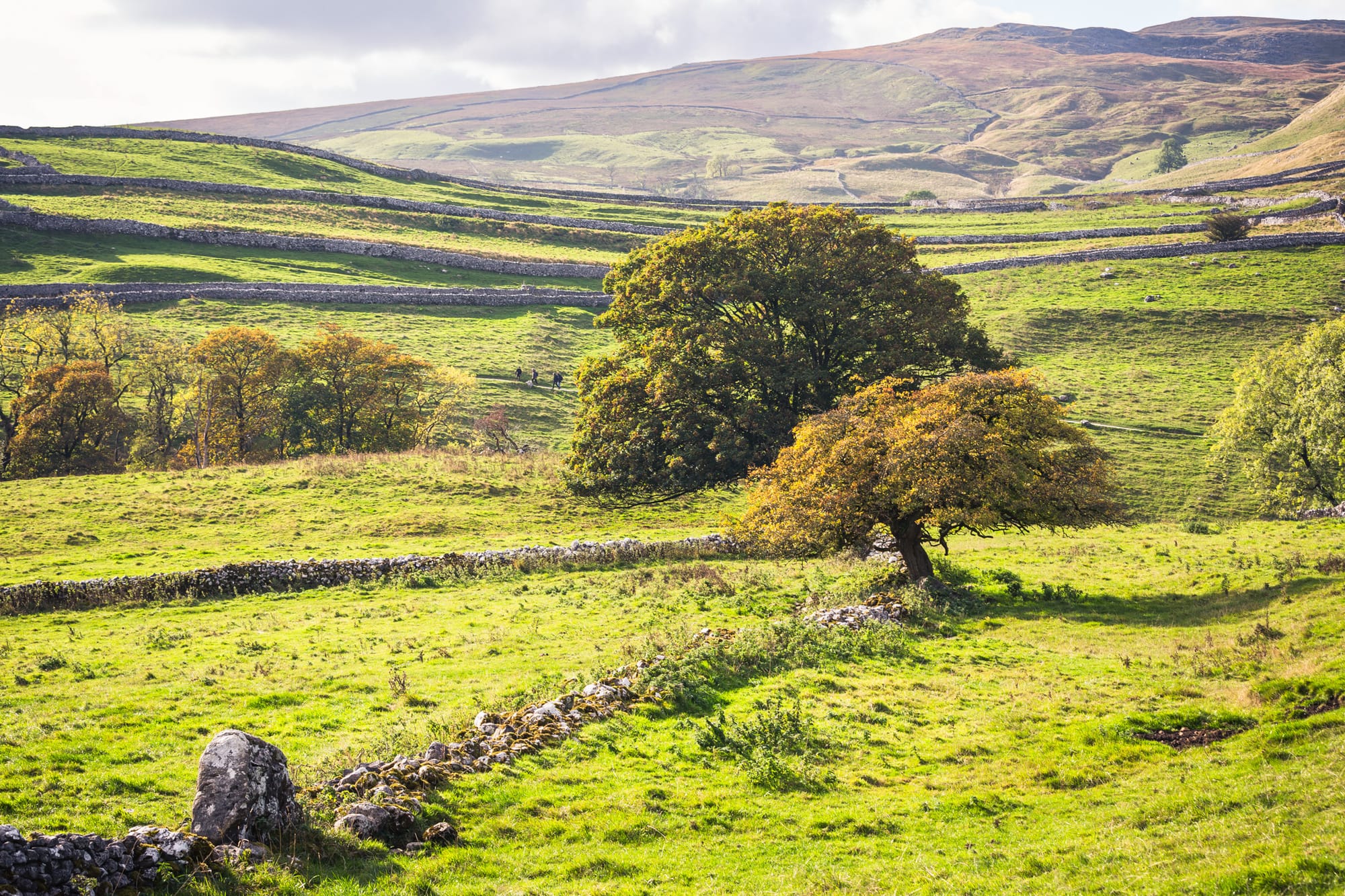 York & The Yorkshire Dales