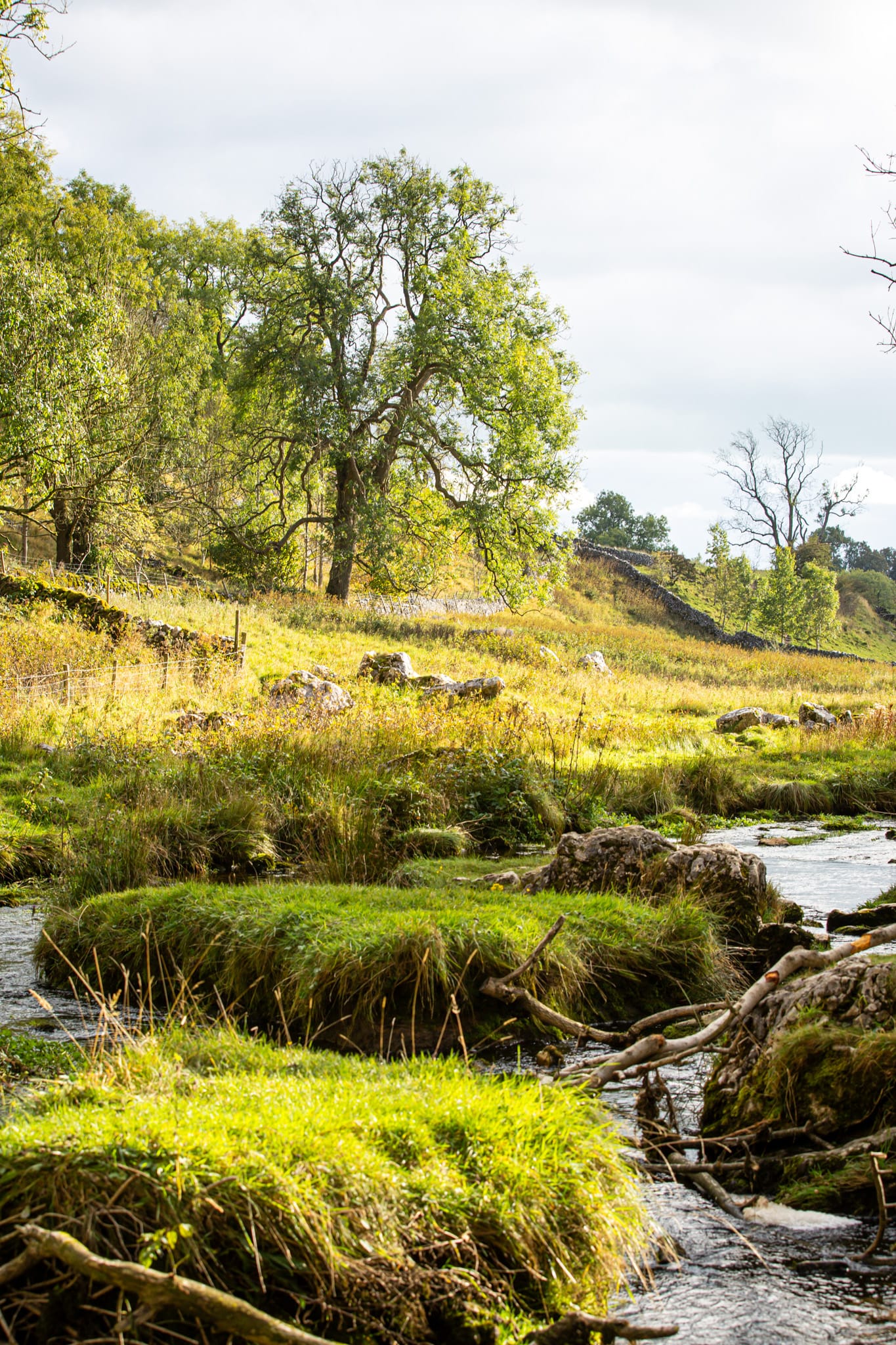 York & The Yorkshire Dales