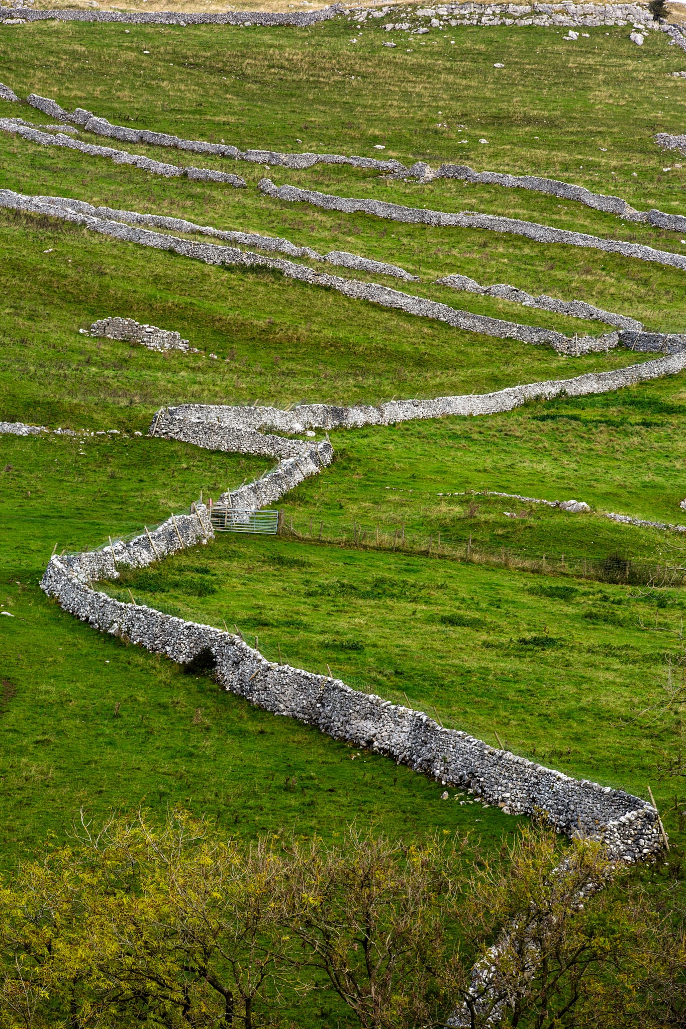 York & The Yorkshire Dales