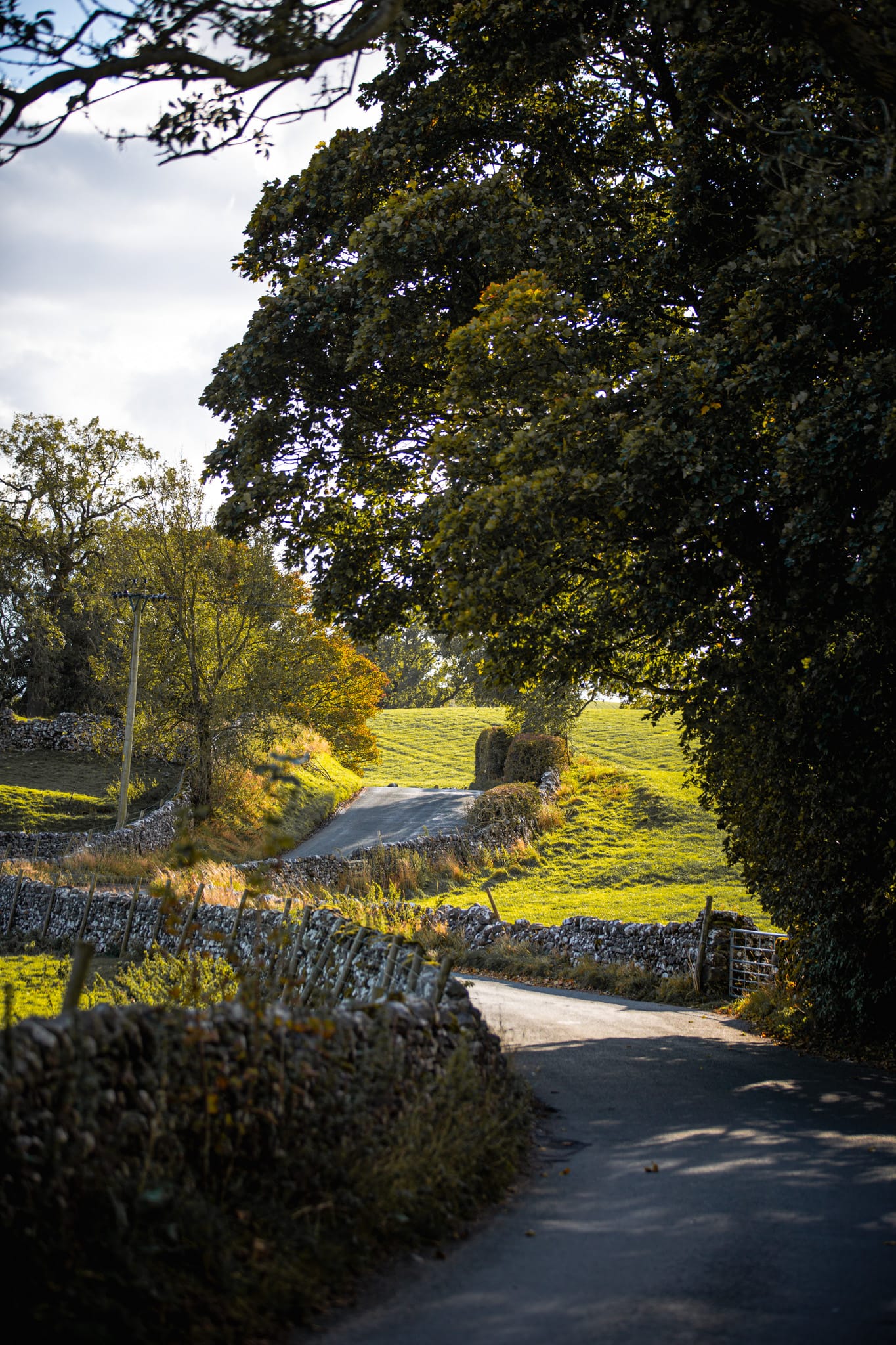 York & The Yorkshire Dales