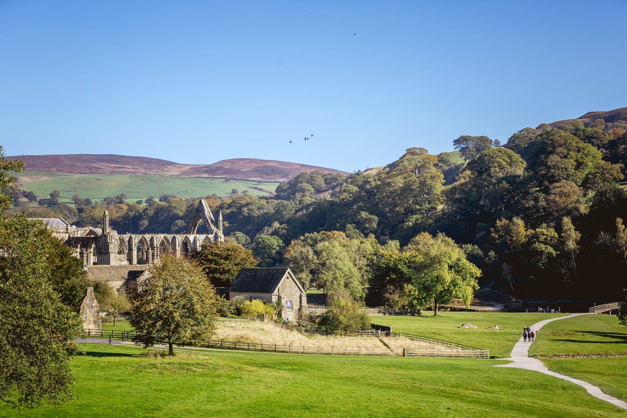 York & The Yorkshire Dales