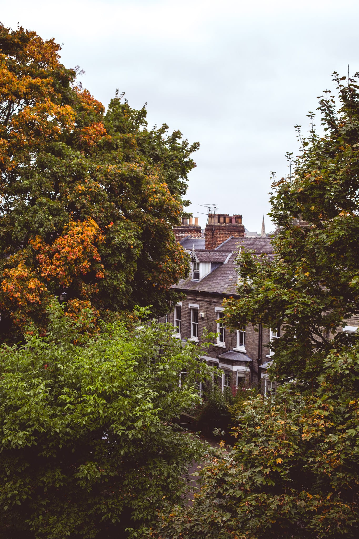 York & The Yorkshire Dales