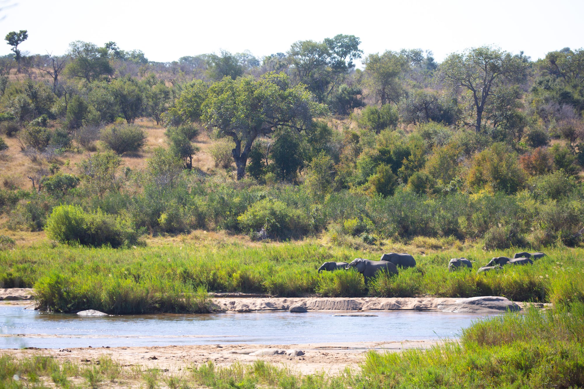 Kruger National Park June 2024