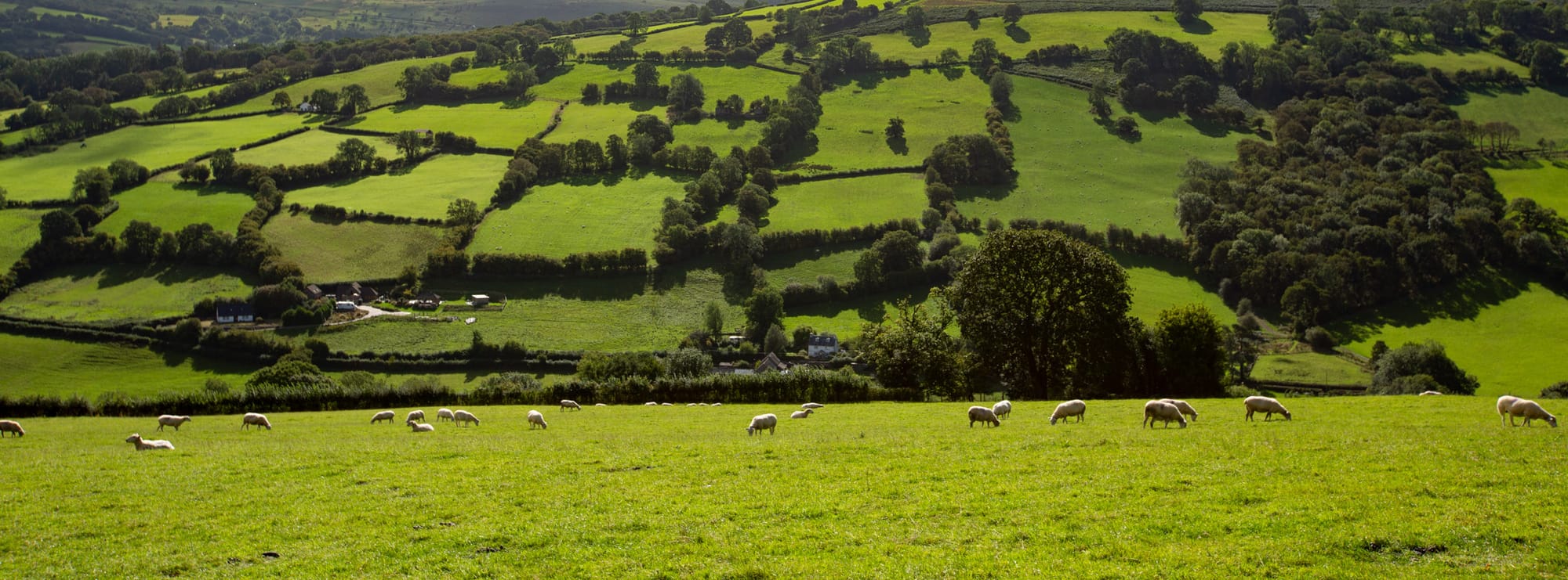 Bannau Brycheiniog National Park